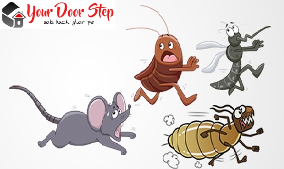 pest control service