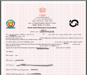 digital birth certificate delhi